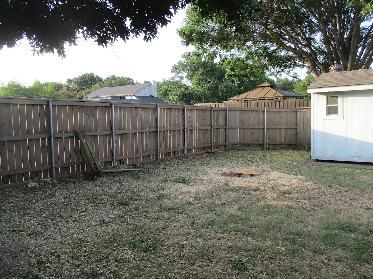 Cleared yard after professional tree removal in Palos Verdes Peninsula